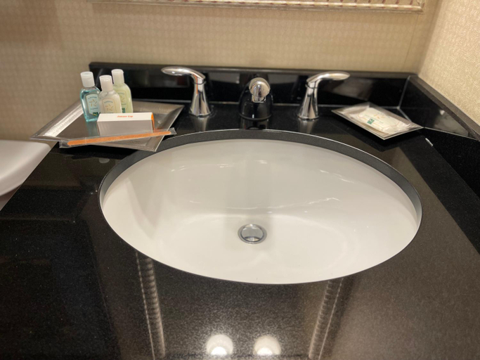 Bathroom 4, Quality Hotel Philadelphia Airport, Delaware