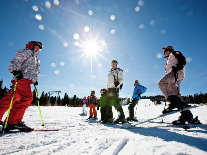 Others 5, Attractive Chalet on the Slopes, Murau