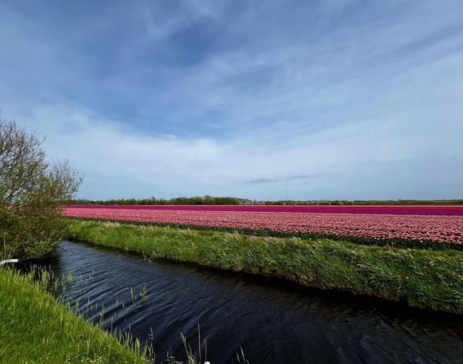 Garden 3, Beautiful Bungalow in North Holland, Zijpe