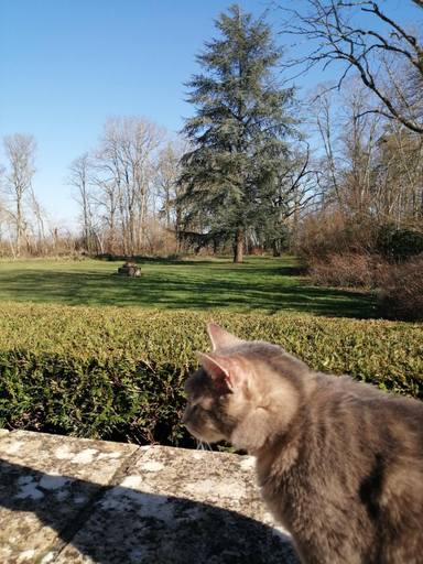 Others 4, Domaine de Prefond, Cher