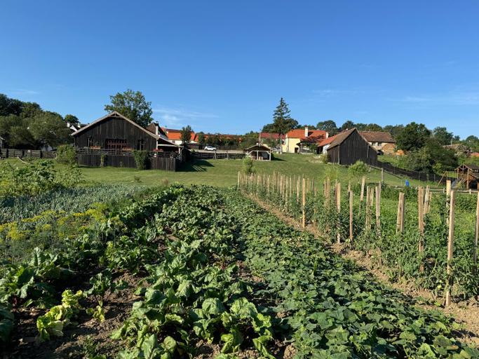 Others 4, Veseud11, Chirpar