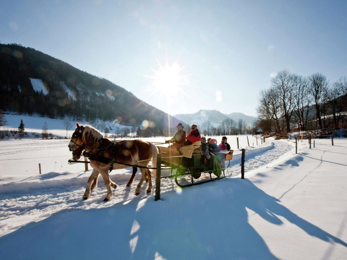 Others 4, Cosy chalet with hot tub, Murau