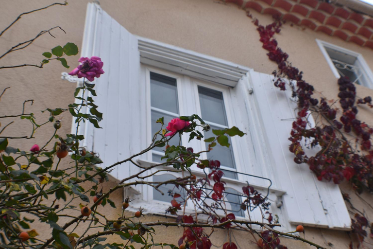 Exterior view 2, L'Occitania Chambre d'hotes, Aude