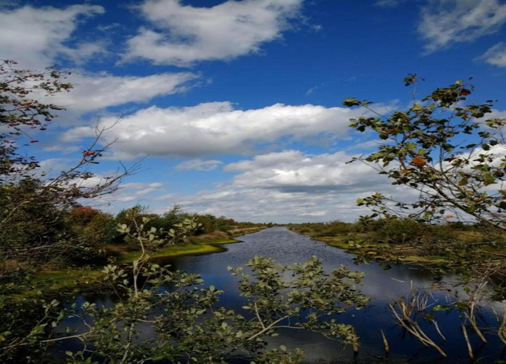 View from property 4, Docklodge Stay by the Water, Lemsterland
