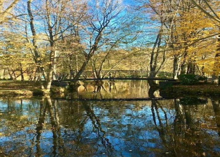 View from property 3, Chalet in Viroinval Near Nature Park, Namur
