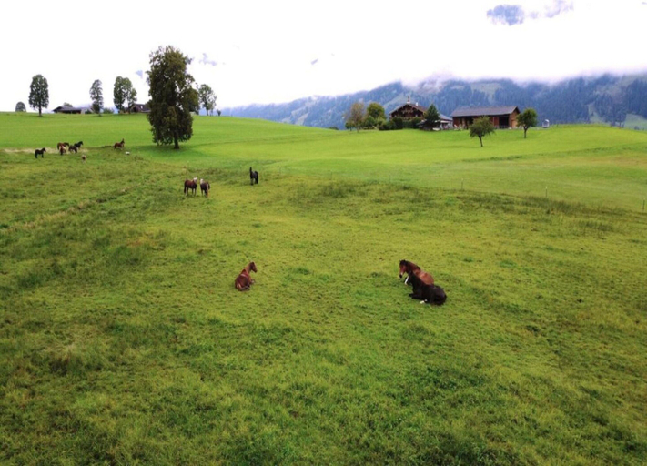 View from property 5, Cozy Nest in Saalfelden, Zell am See