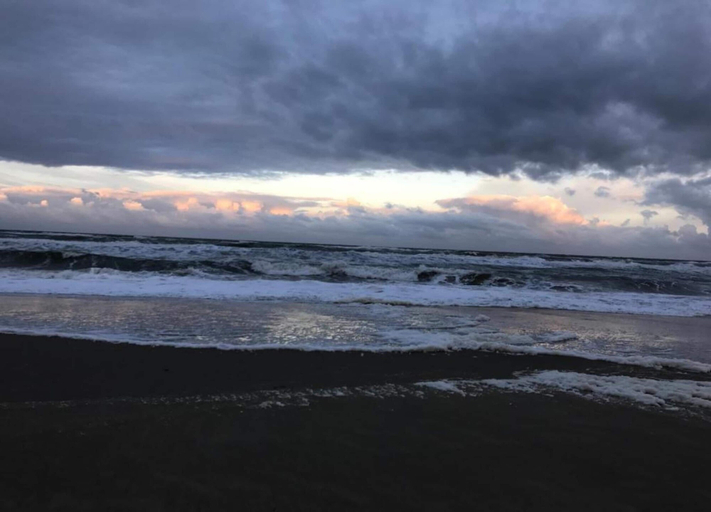 View from property 4, Appealing Holiday Home for Family, Zijpe