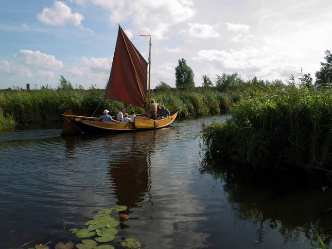 View from property 3, Cottage in De Bult in Natural Surroundings, Steenwijkerland