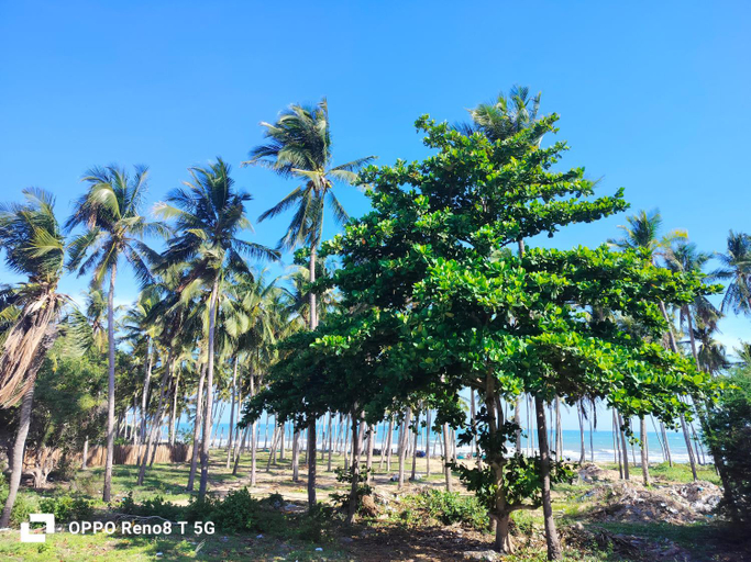 Others 2, DIEP NGOC MAI Guest House, Phan Thiết