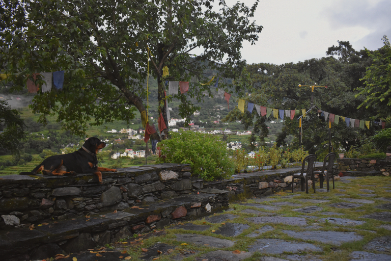 Others 3, Hideout Hostel, Nainital