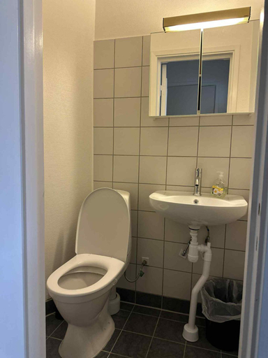 Bathroom 4, Burning Bridge Motell & Vandrarhem, Götene