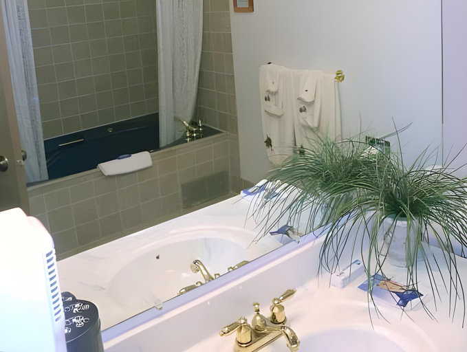 Bathroom 3, Buffalo Bill's Antlers Inn, Park