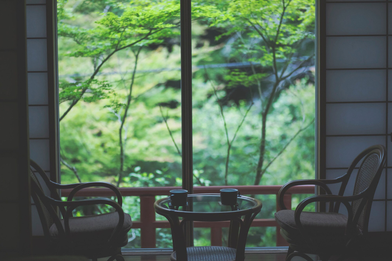 View from room 3, Meitokuan, Minoo
