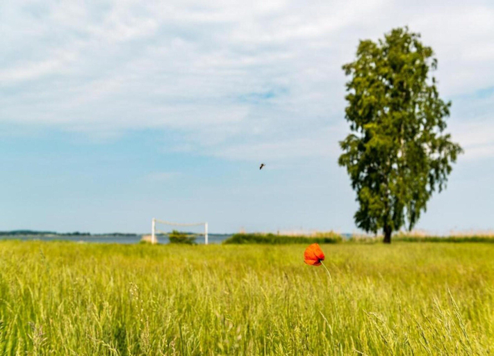 View from property 5, Ferienhaus im Skandinavischen Stil, Mecklenburgische Seenplatte