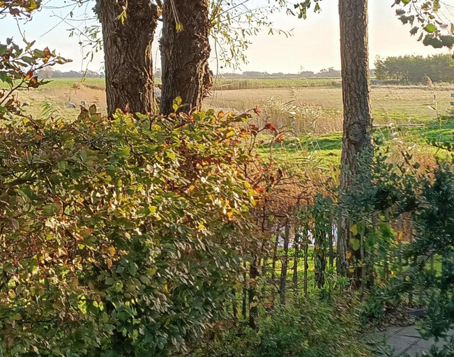 Dining 3, Cozy Holiday Home in Sint Maartenszee, Zijpe