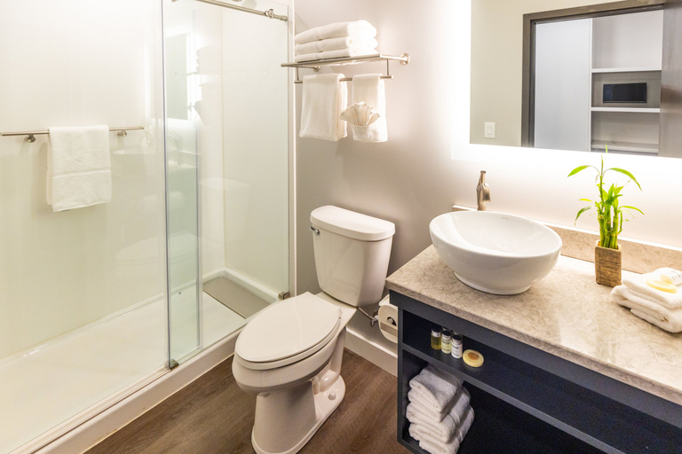 Bathroom, Tryon Resort, Polk