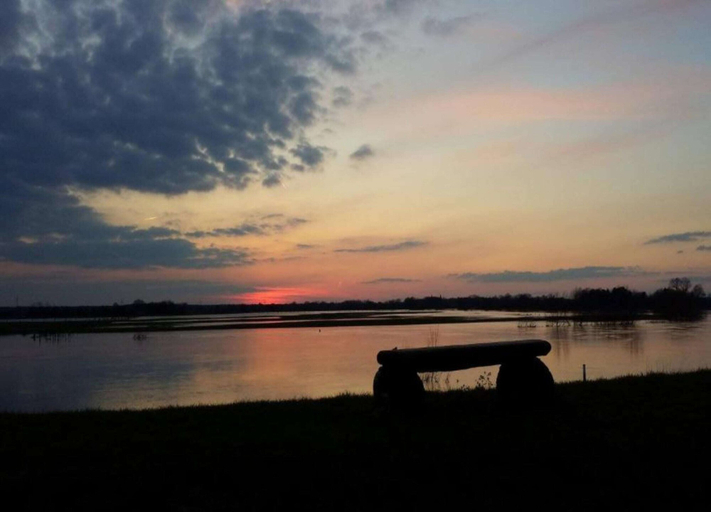 View from property 5, Luxuszelt im Serengeti Park, Heidekreis