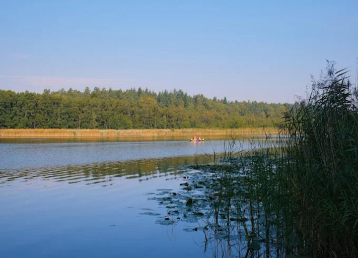 View from property 1, Ferienhaus mit Sauna im Ferienpark Mirow, Mecklenburgische Seenplatte