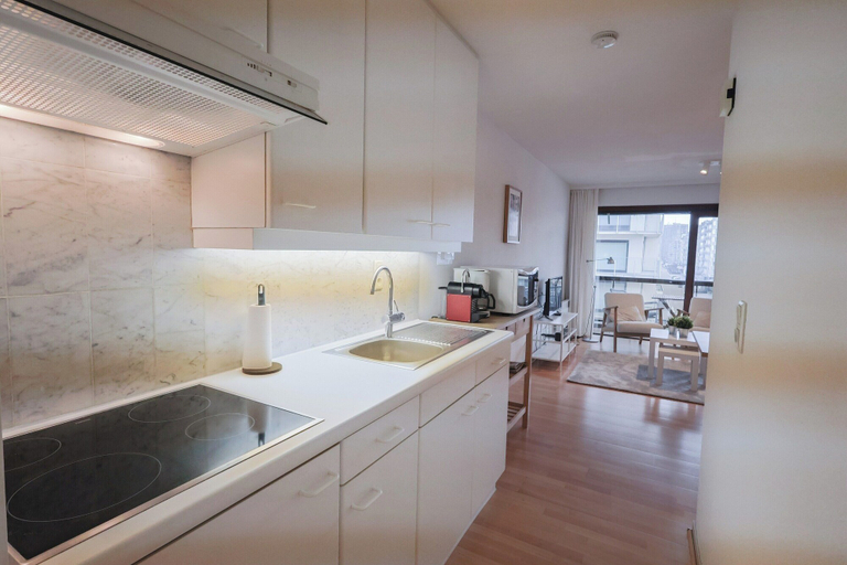 Private kitchen 3, Studio by the Beach With Sea View, West-Vlaanderen
