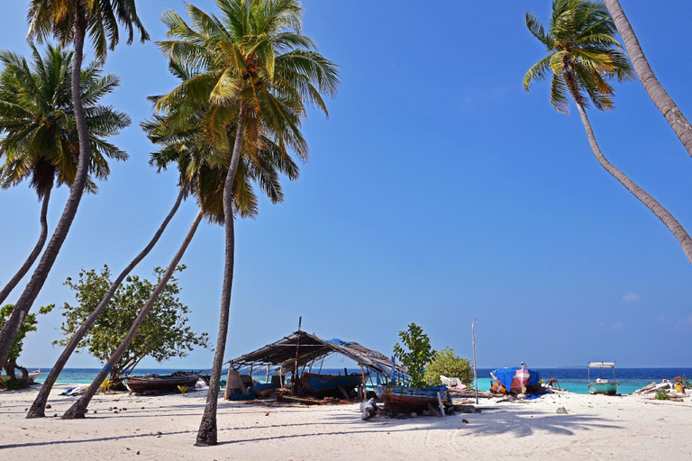 Others 4, Al-Hub Asaa, North Ari Atoll