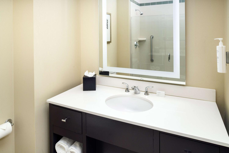 Bathroom 5, Embassy Suites by Hilton St. Louis Downtown, Saint Louis