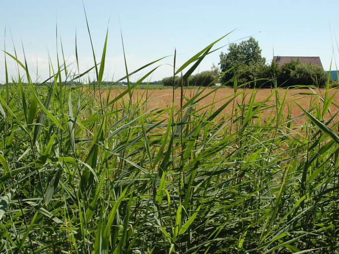 View from property 3, Spacious Farmhouse Near Beach, Texel