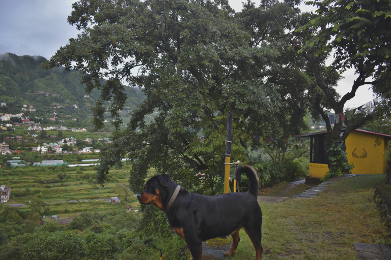 Others 5, Hideout Hostel, Nainital