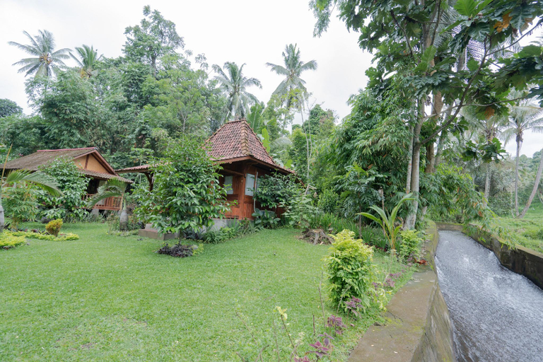 Exterior view 4, Nishiyama House Sambangan by The Lavana, Buleleng