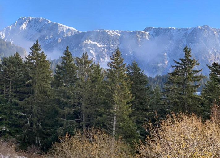 View from property 3, Mountain Hideaway for 4 Guests, Isère