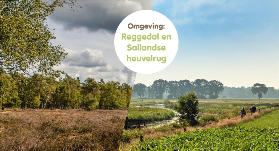 Others 5, Bungalette Sauna 6p, Wierden