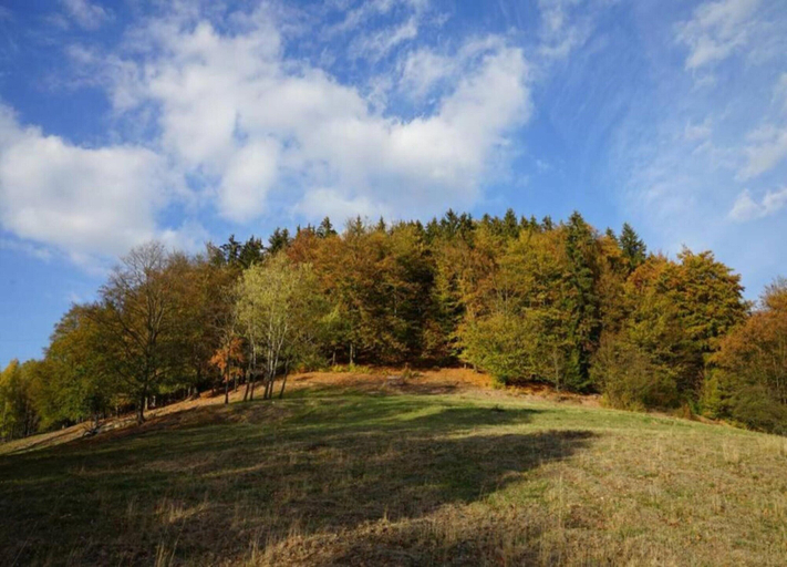 View from property 3, Holiday Apartment With Lake View, Harz