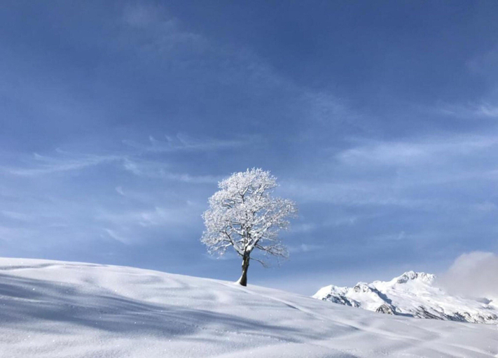 View from property 2, Apartment in Doucy With Mountain Views, Savoie