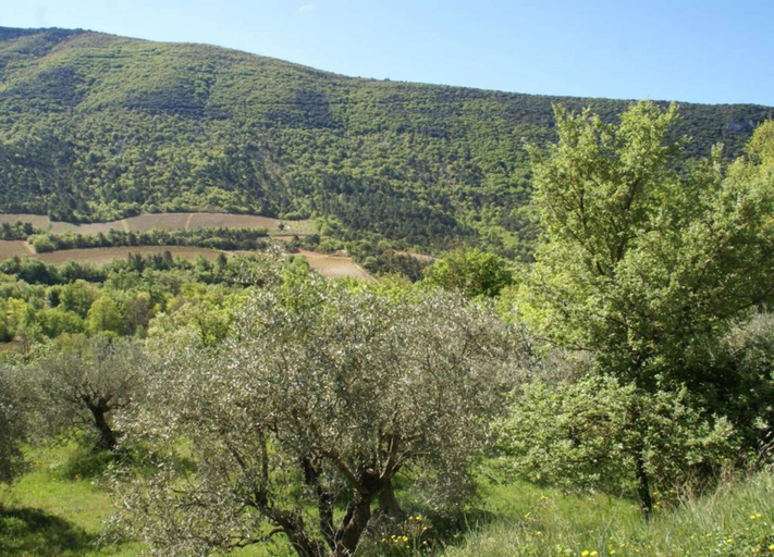 View from property 3, Cosy Flat in a Drome Chateau With Pool, Drôme