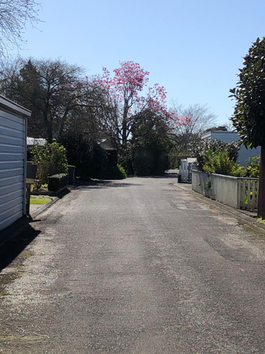 Others 2, Inglewood shared Home BNB, New Plymouth