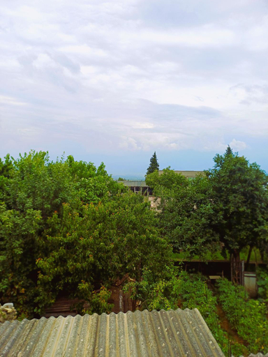 Others 2, Guest house Matsantsara, Telavi
