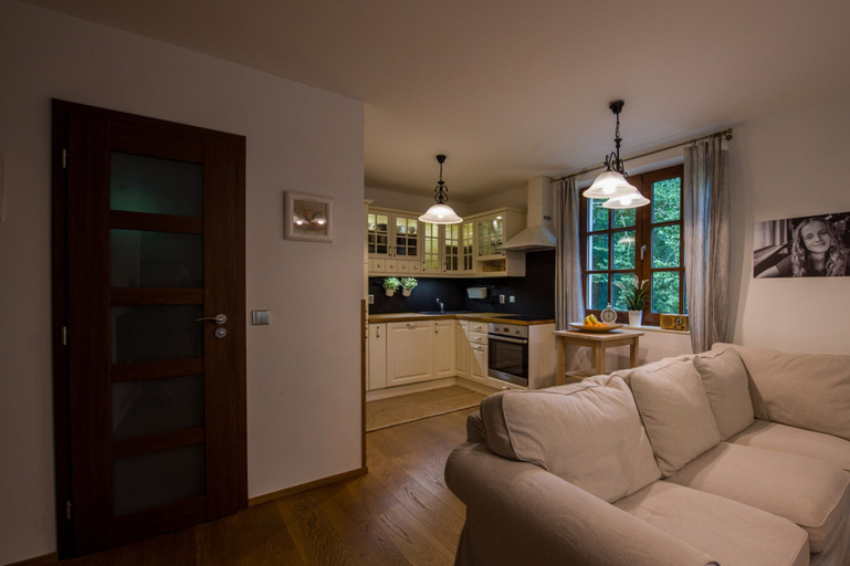 Private kitchen 5, Villa in Ore Mountains Near Ski Areal Kliny, Most