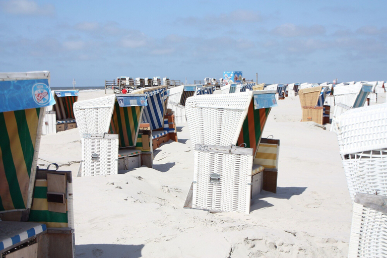 View from property 5, Ferienwohnung in St. Peter-ording, Nordfriesland