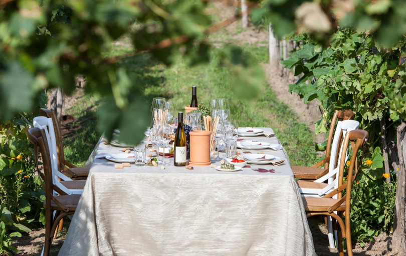 Food & Drinks 2, Gastehaus Wildpert, Krems an der Donau Land