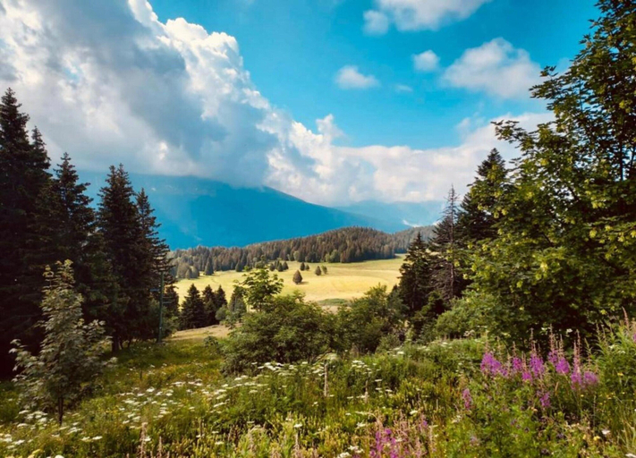 View from property 5, Apartment for 6 Guests, Chamrousse, Isère