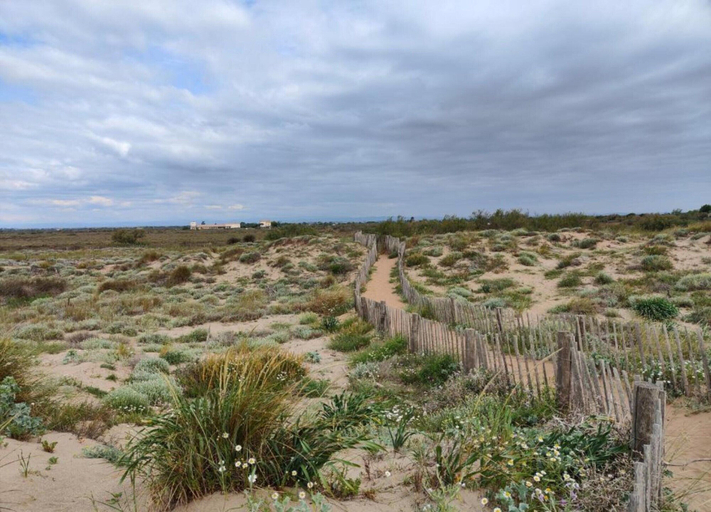 View from property 4, Seaside Stay for Two Guests, Hérault