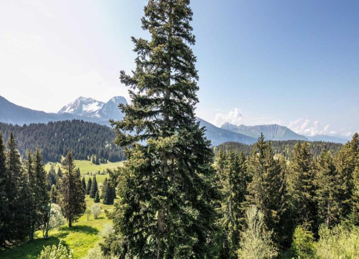 View from property 4, Sunny Stay Near the Slopes, Isère