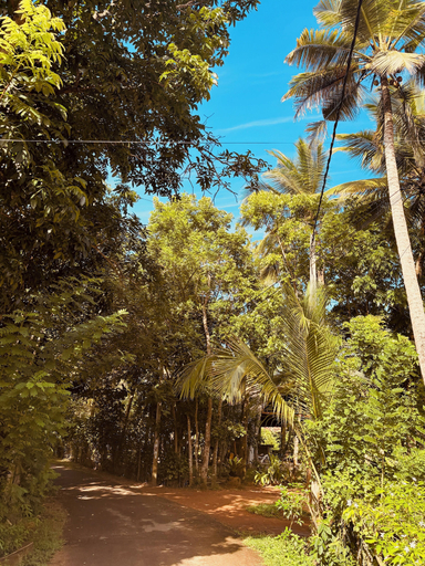 Exterior 3, Jungle Breeze, Habaraduwa