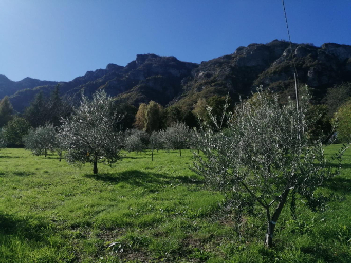 Others 4, le faye, Cuneo