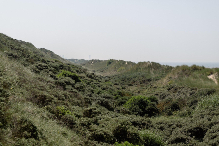 View from property 4, Studio Apartment in Knokke Near Seafront, West-Vlaanderen