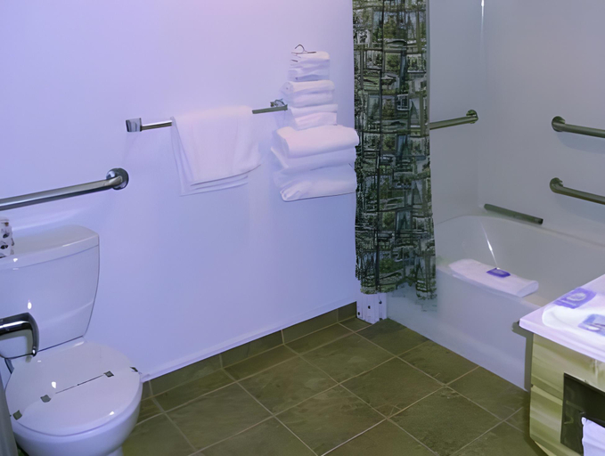 Bathroom 5, Buffalo Bill's Antlers Inn, Park