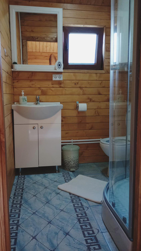 Bathroom 3, Casa Fericirii, Cartisoara