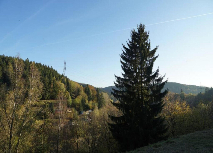 View from property 2, Lakefront Family Retreat, Harz