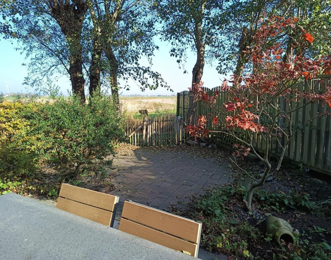 Exterior 4, Cozy Holiday Home in Sint Maartenszee, Zijpe