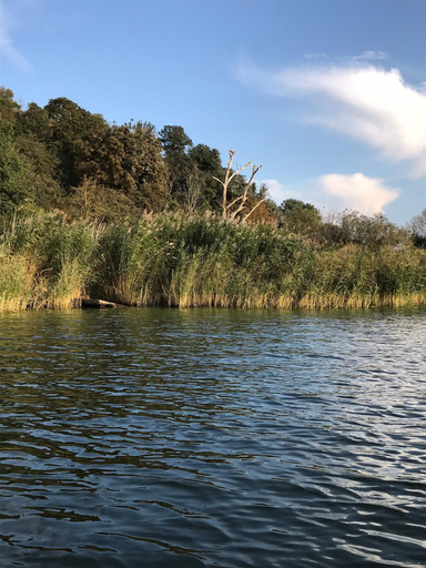 View from property 5, Holiday Home With Sauna and Whirlpool, Kamień
