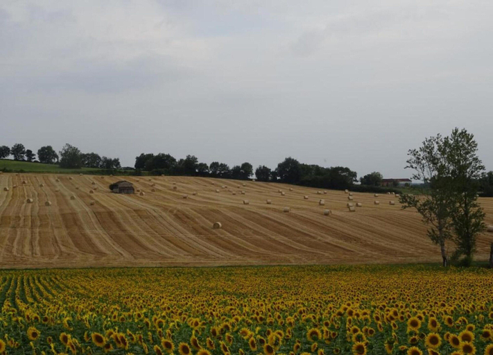 View from property 5, Oakwood Hideaway Stay, Lot-et-Garonne